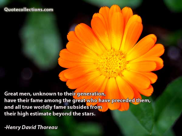 Henry David Thoreau Quotes3